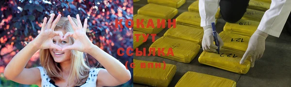 прущие грибы Армянск