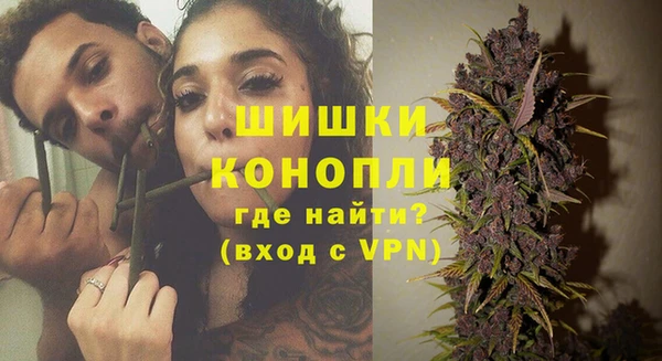 Альфа ПВП Аркадак