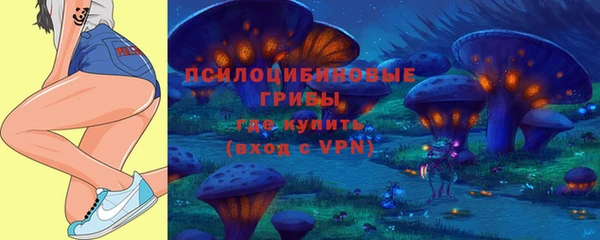 прущие грибы Армянск